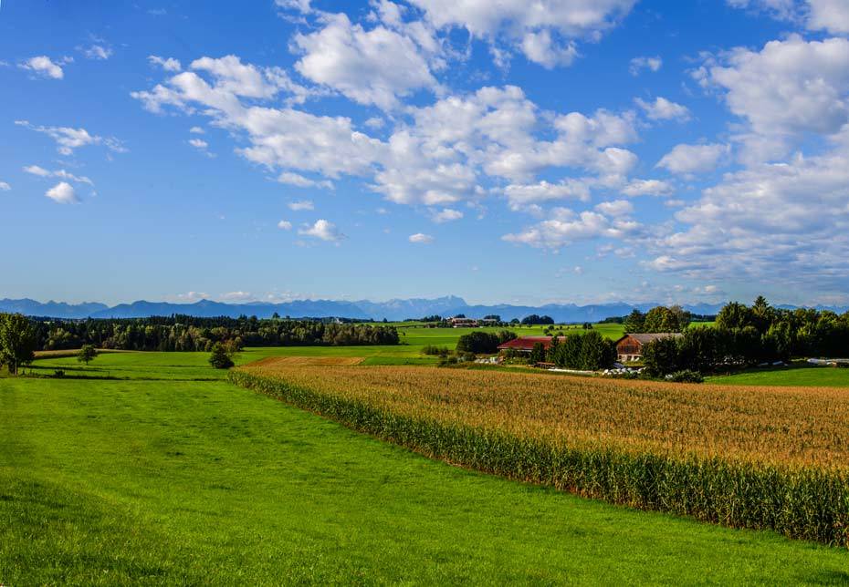 Unbebaute Grundstücke