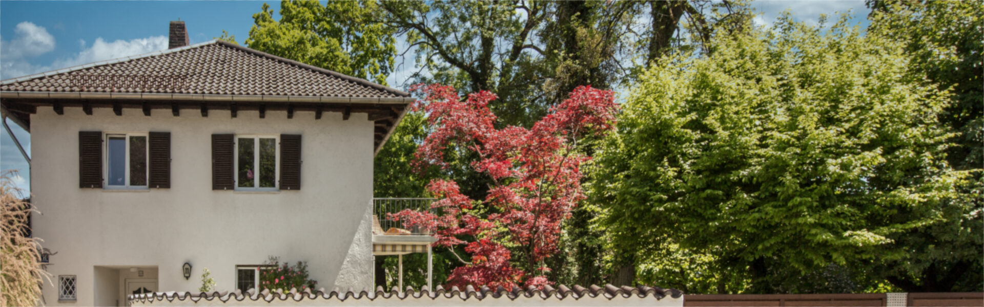 Einfamilienhaus mit eingewachsenem Garten