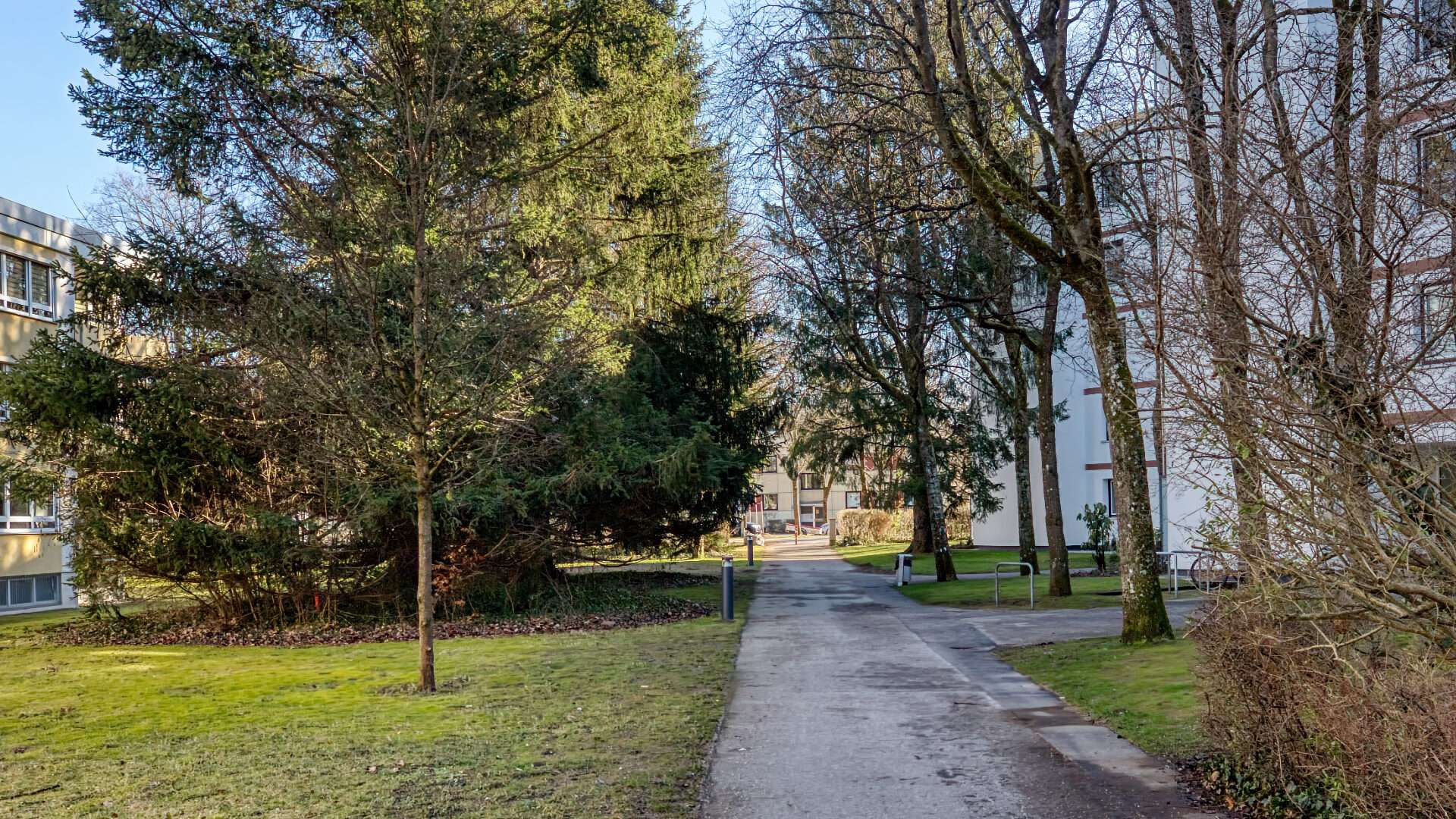 Solln Wohnung Grund