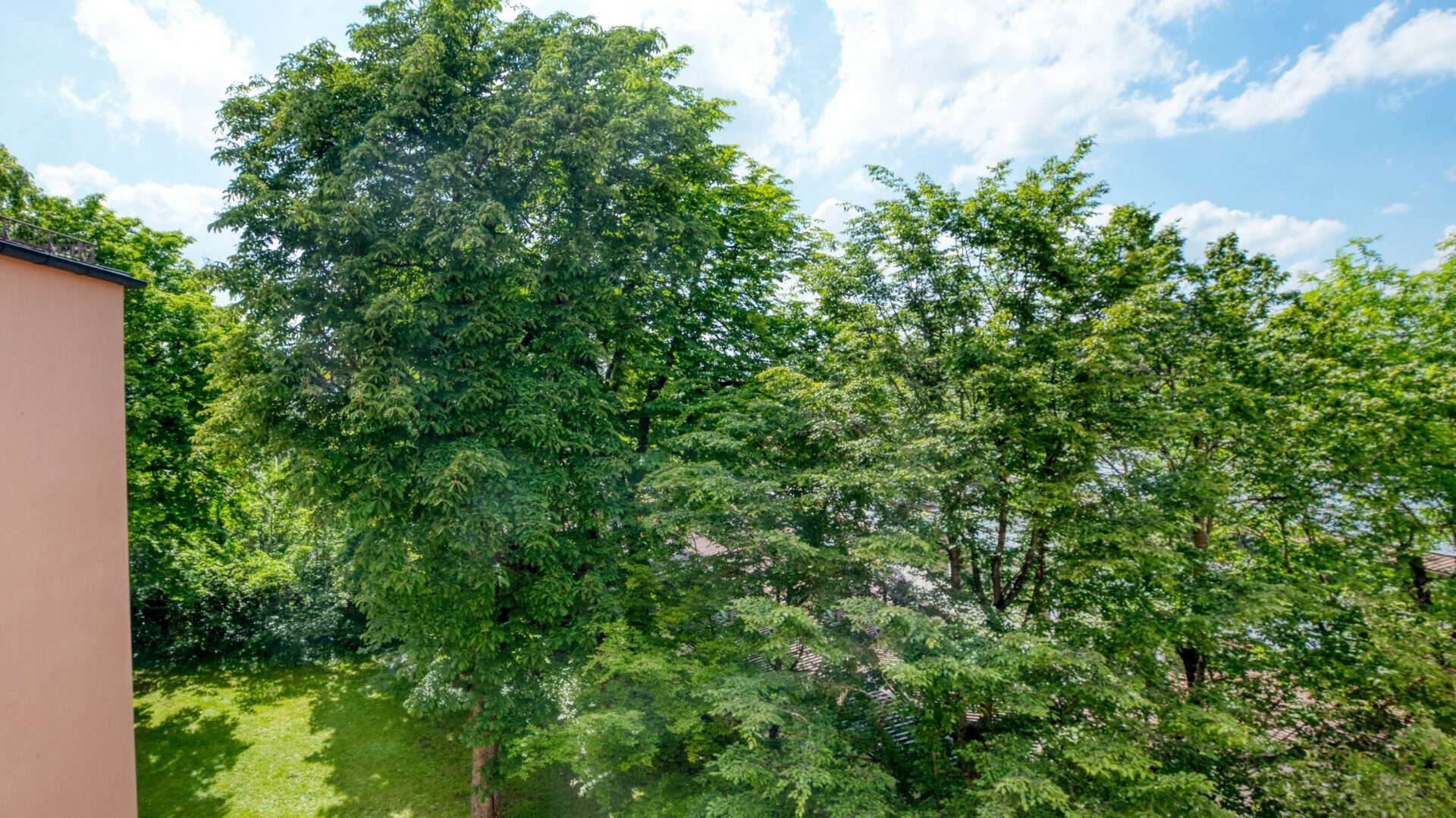 Ausblick vom Balkon auf Baeume