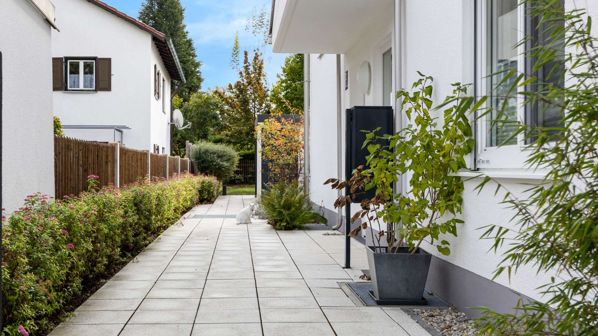 Gehweg mit Katze zum Haus