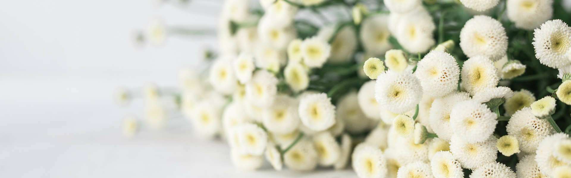 Aubing Wohnung Kauf Blumen