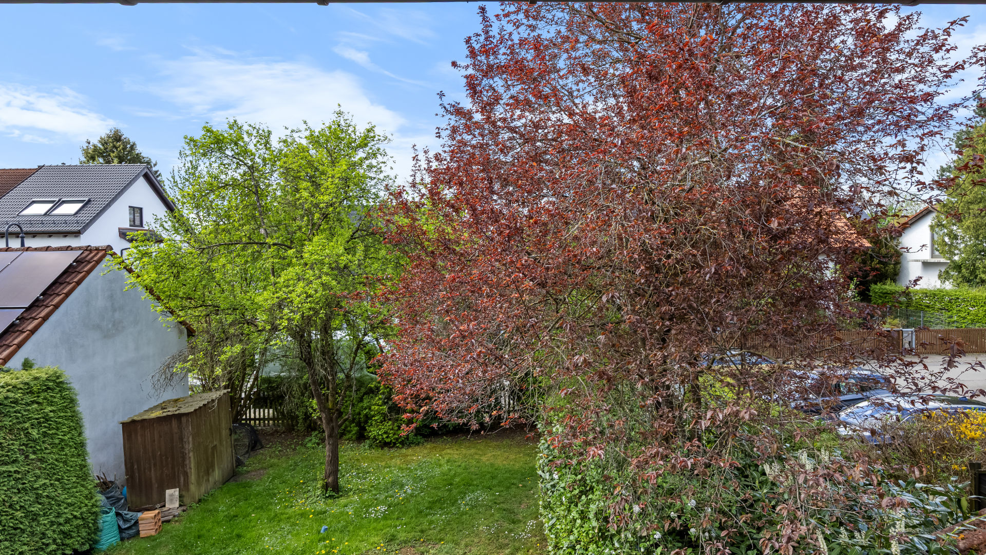 Blick in den Garten