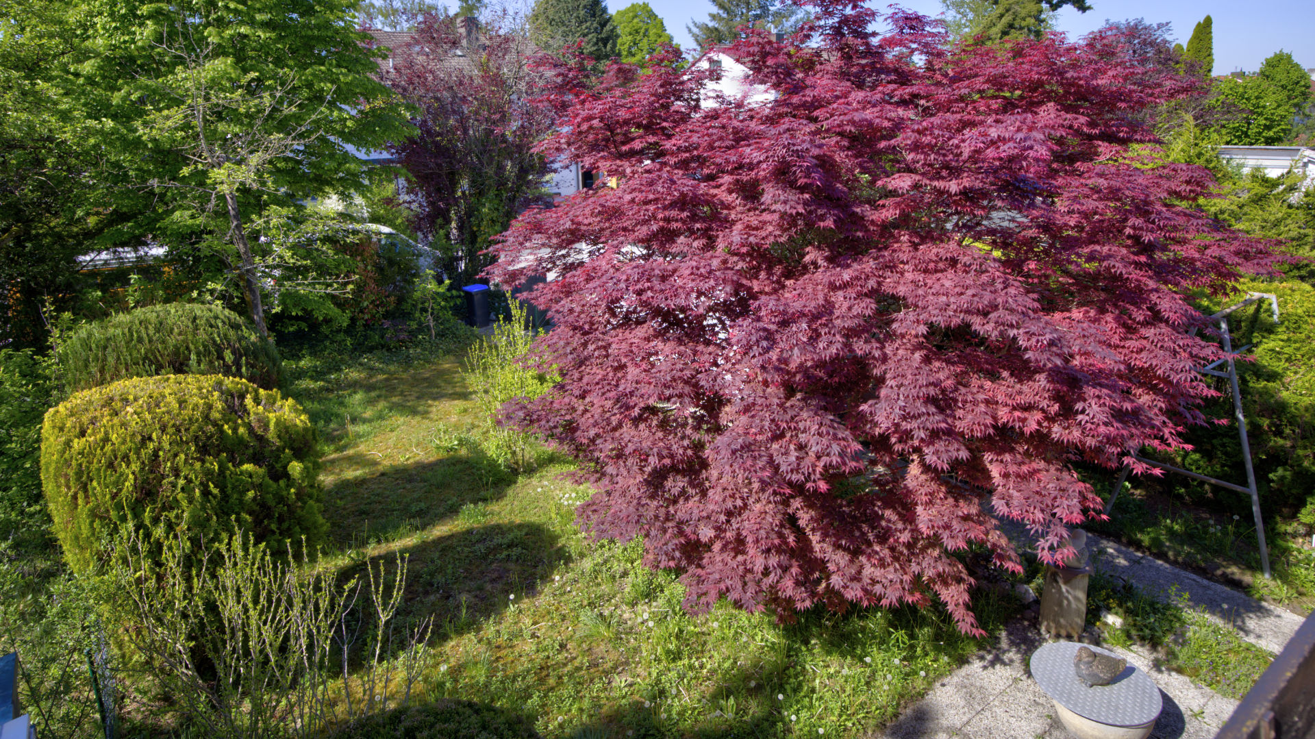 Toller Garten