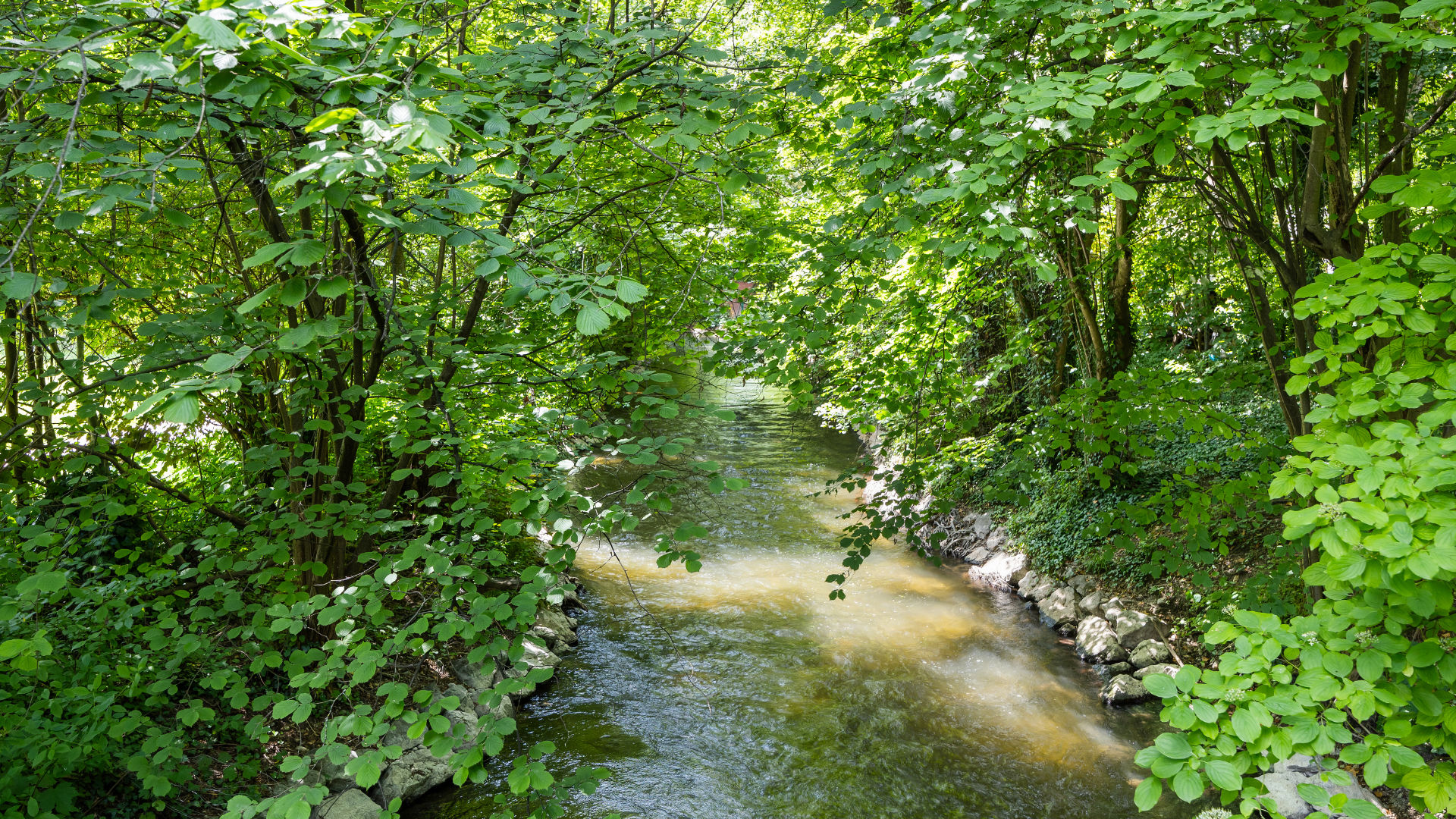 Pasing Wohnung kaufen Umgebung