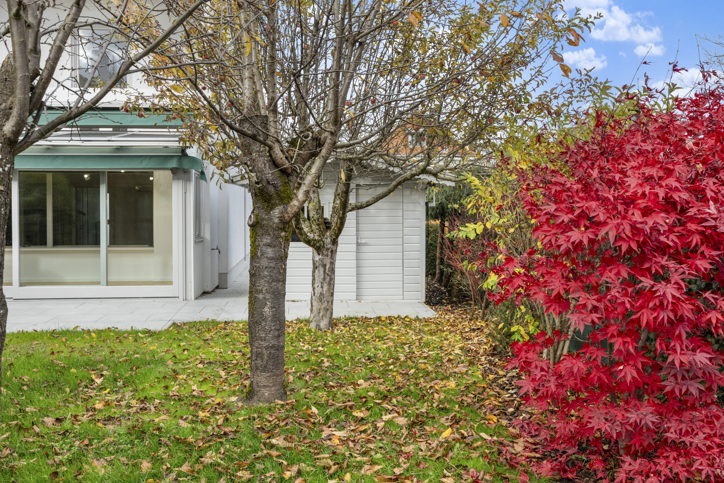 Feldmoching Haus mieten Garten