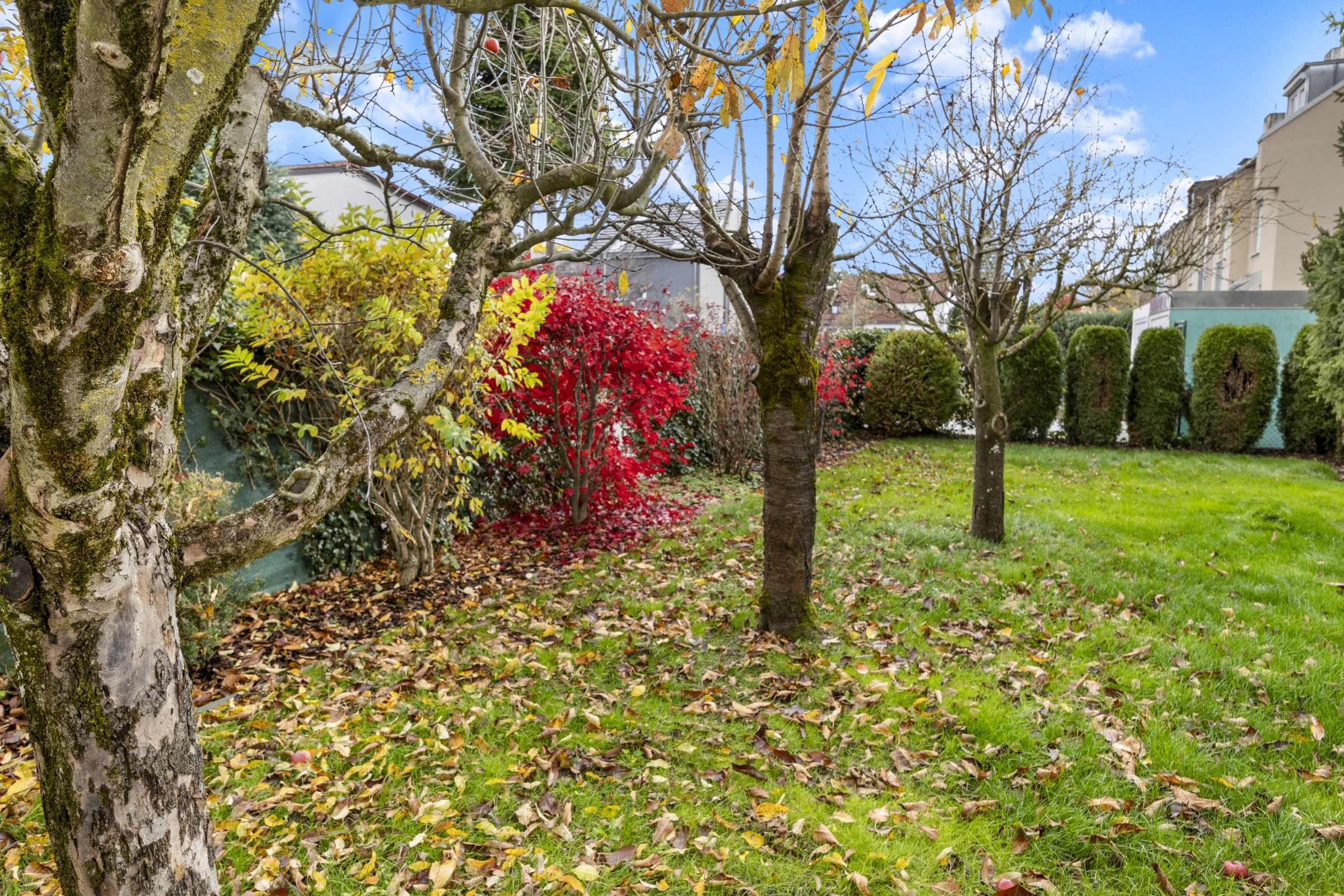 Feldmoching Haus mieten Garten