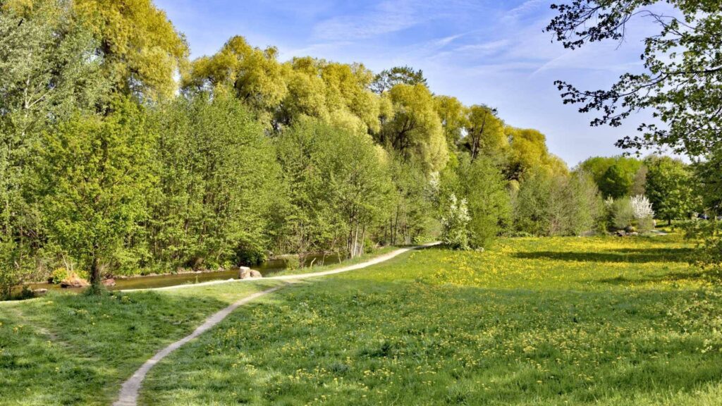 Kiesweg durch eine grüne Parkwiese mit Bäumen im Frühling in München-Pasing
