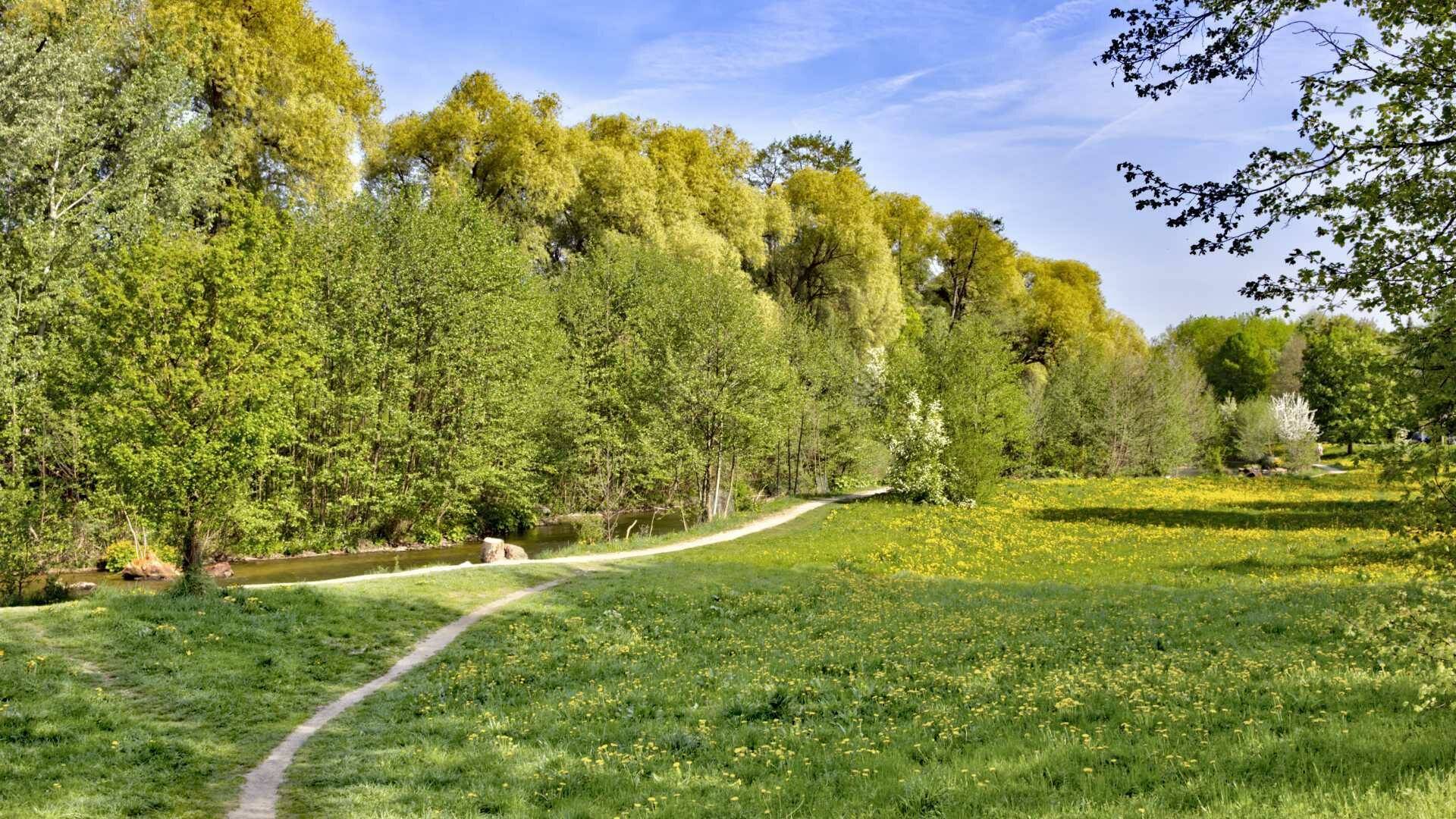 Kiesweg durch eine grüne Parkwiese mit Bäumen im Frühling in München-Pasing