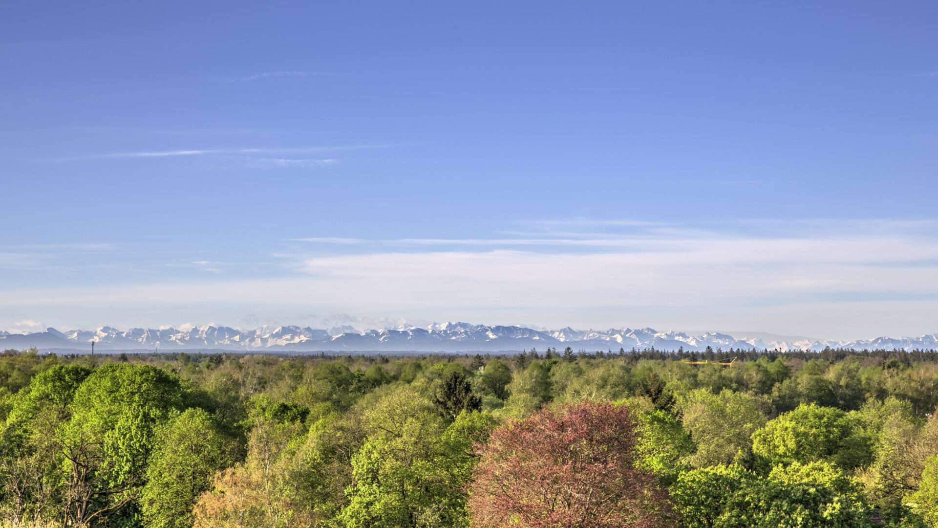 Fernblick auf die schneebedeckten Alpen über Baumwipfeln vom Münchner Stadtteil Giesing aus
