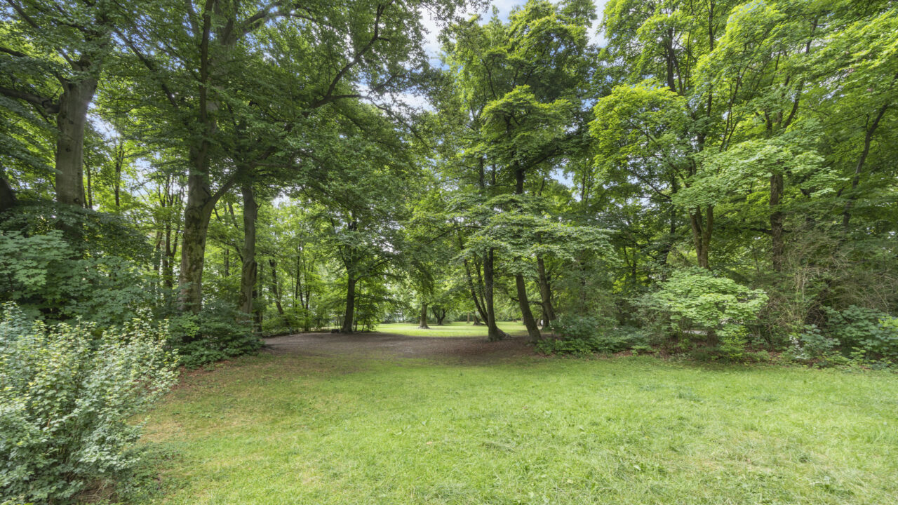 Grüner Wiesenweg zwischen Bäumen im Englischen Garten in München