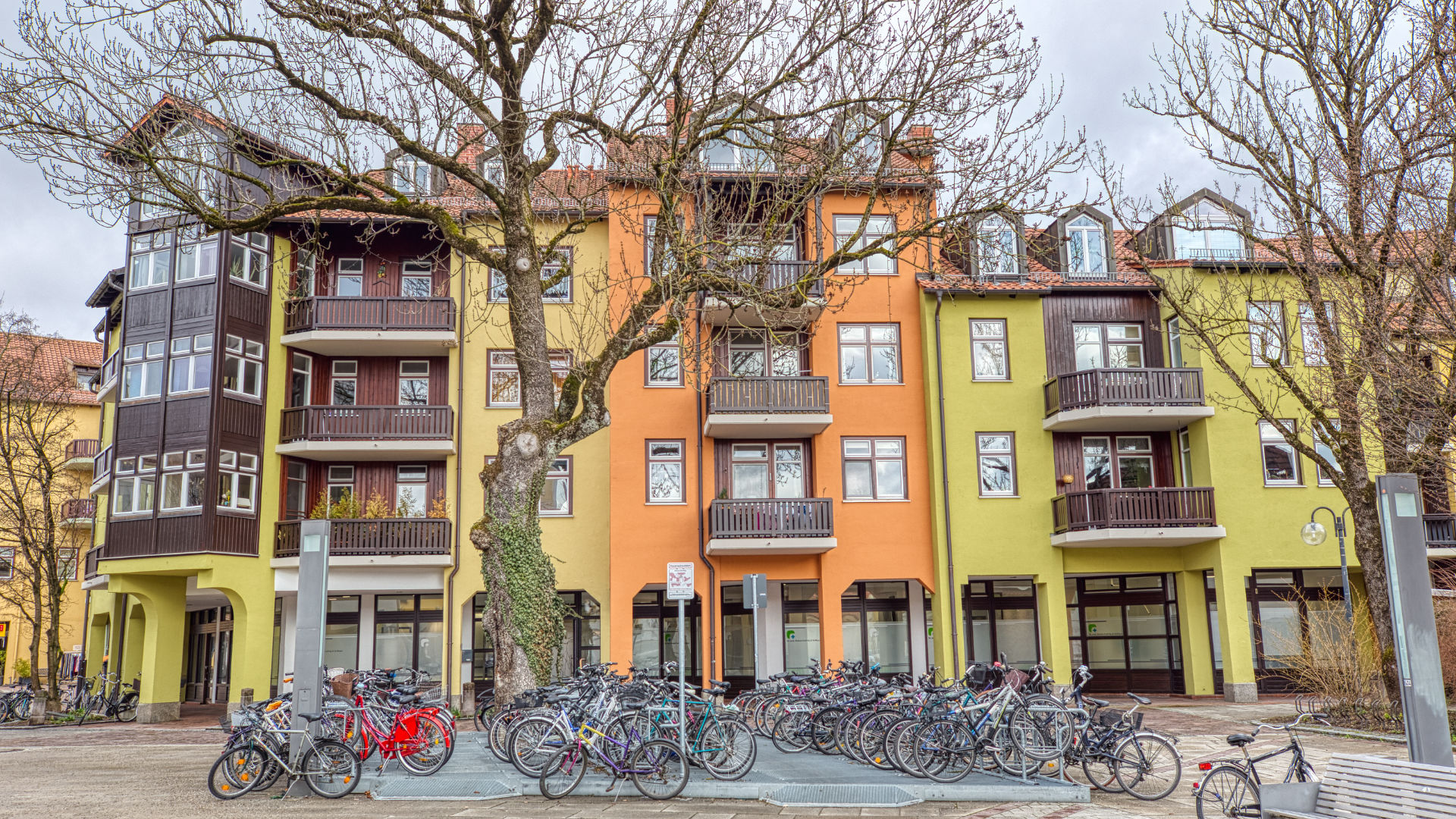 Bunte Häuserzeile mit Balkonen und Fahrrädern an einer Platanenallee in Garching bei München