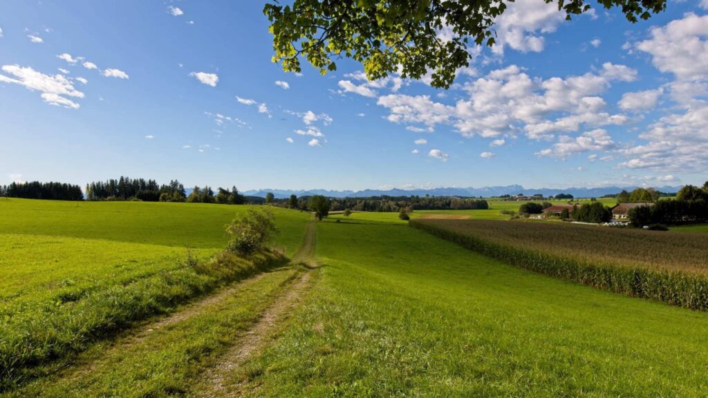 Feldweg durch grüne Wiesen im Münchner Umland mit Blick auf die Alpen am Horizont