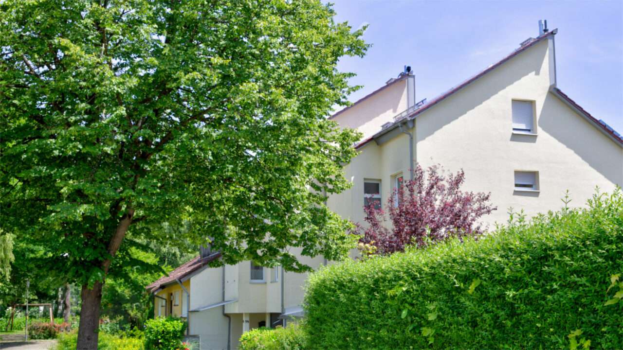 White single-family home with a gable roof behind a green hedge and an old tree in Puchheim near Munich