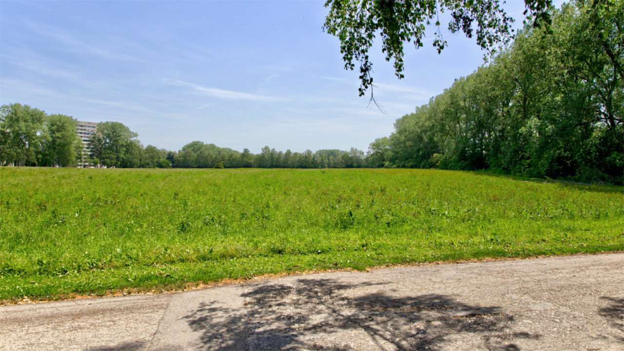 Wide green meadow area with a row of trees along the dirt road in the municipality of Puchheim near Munich