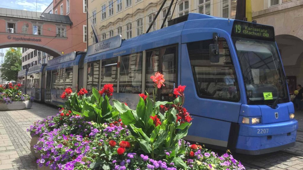 Blaue MVG-Straßenbahn fährt durch die Münchner Innenstadt vorbei an bunten Blumenbeeten im Sommer