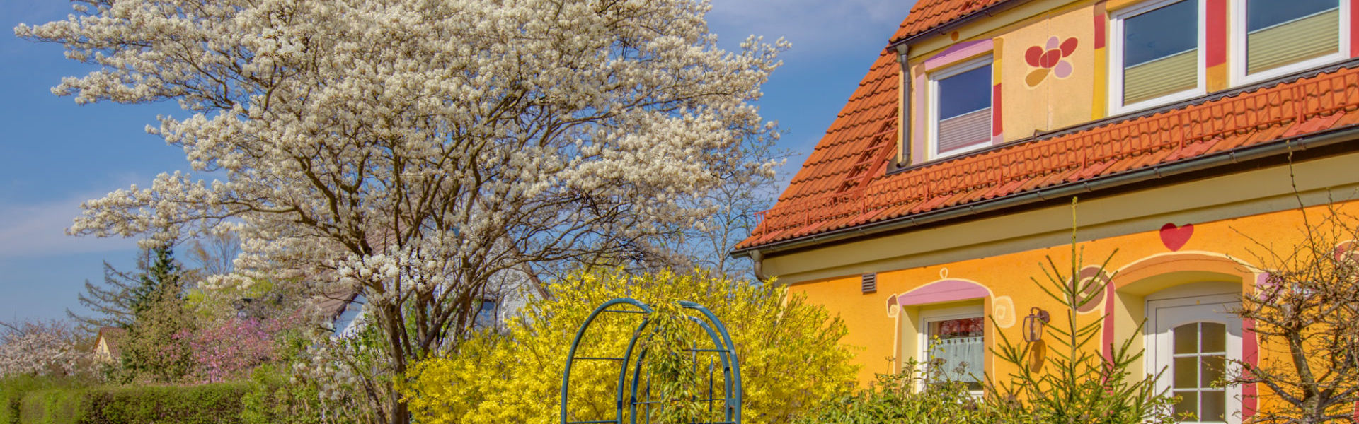 Gelbes Einfamilienhaus mit rotem Ziegeldach und blühendem Kirschbaum im Vorgarten in Germering bei München