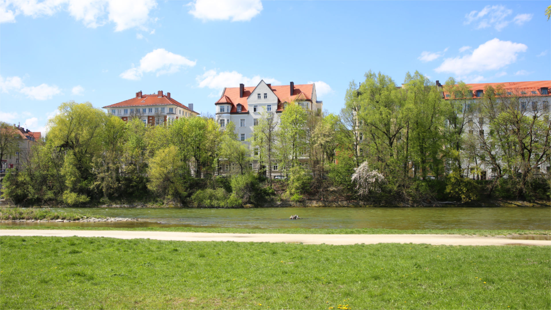 Wohnhäuser mit rotem Ziegeldach hinter Bäumen am grünen Isarufer in München