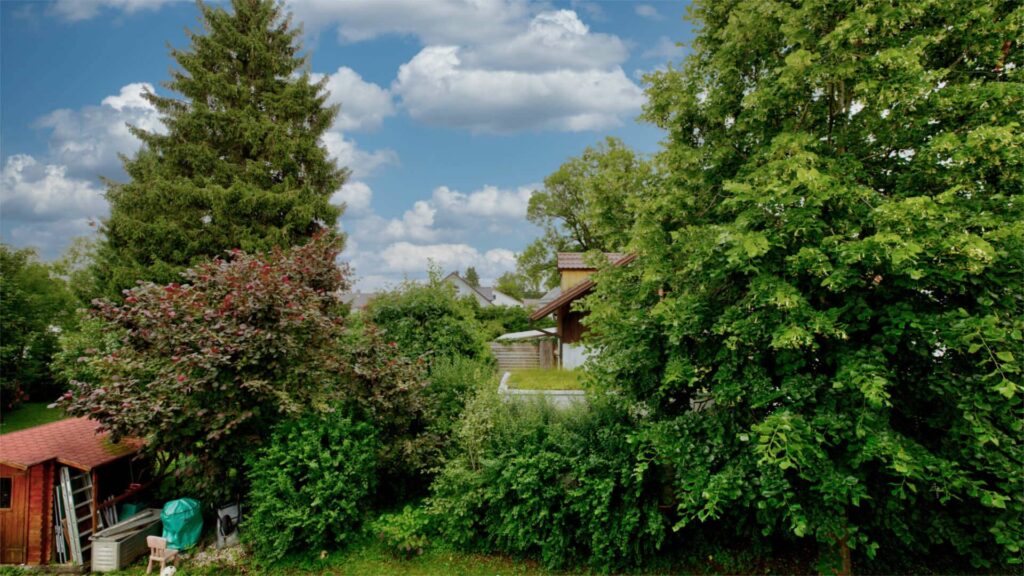 View from the apartment in Forstenried of trees, bushes, and a garden shed
