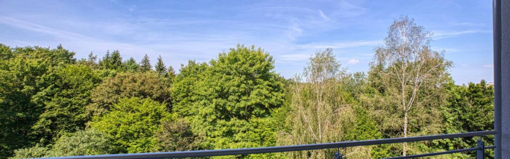Green view from the balcony of tall trees and dense vegetation from an apartment in Forstenried.