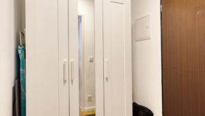 Eingangsbereich der Laimer Wohnung mit Einbauschränken und Spiegeltür
