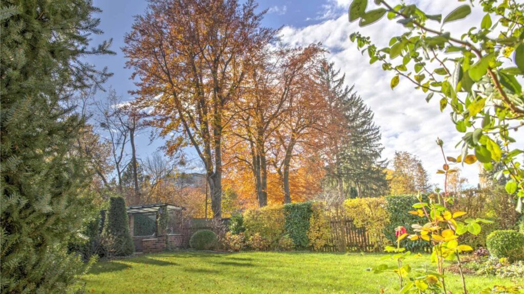 Gepflegter Garten mit Hecken und herbstlich gefärbten Bäumen