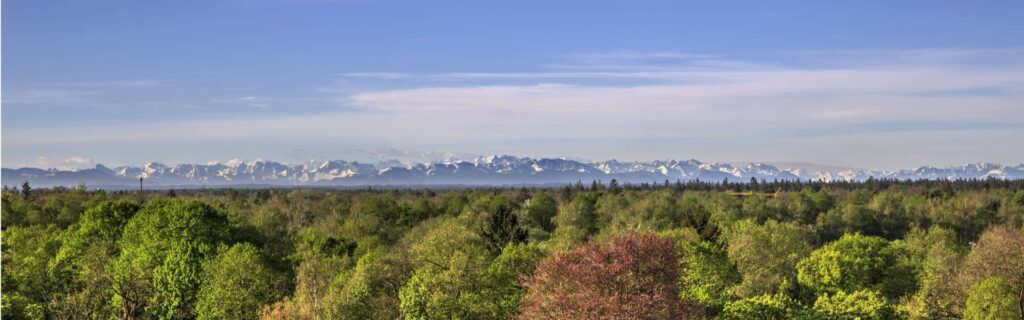 Weiter Panoramablick über Baumkronen und die Münchner Stadtsilhouette von Obergiesing aus