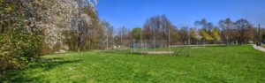 Grünfläche mit blühenden Sträuchern und Sportplatz in der Nachbarschaft des Reihenhauses in Obermenzing.