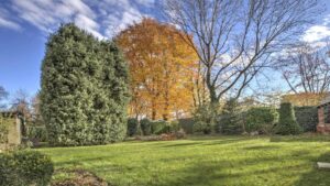 Herbstlicher Baumbestand und Hecken auf dem Grundstück in Obersendling unter blauem Himmel