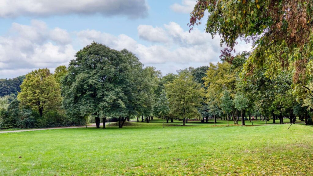 Autumn tree population and meadow in Luitpoldpark near the Schwabing apartment