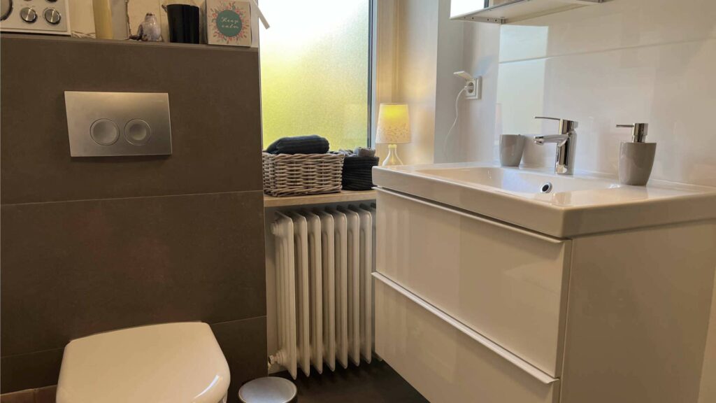 Guest toilet with washbasin, mirrored cabinet, and dark wall tiles in an apartment in Untermenzing.