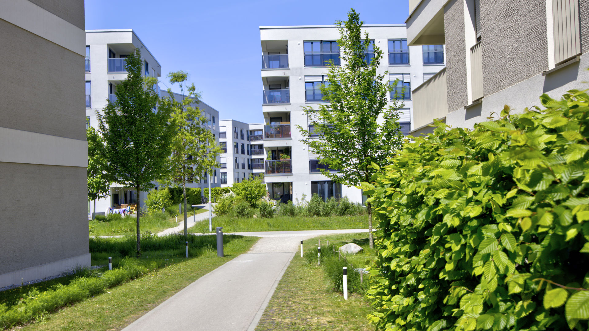 Paved path between the buildings of the Aubing residential complex with young trees and hedges