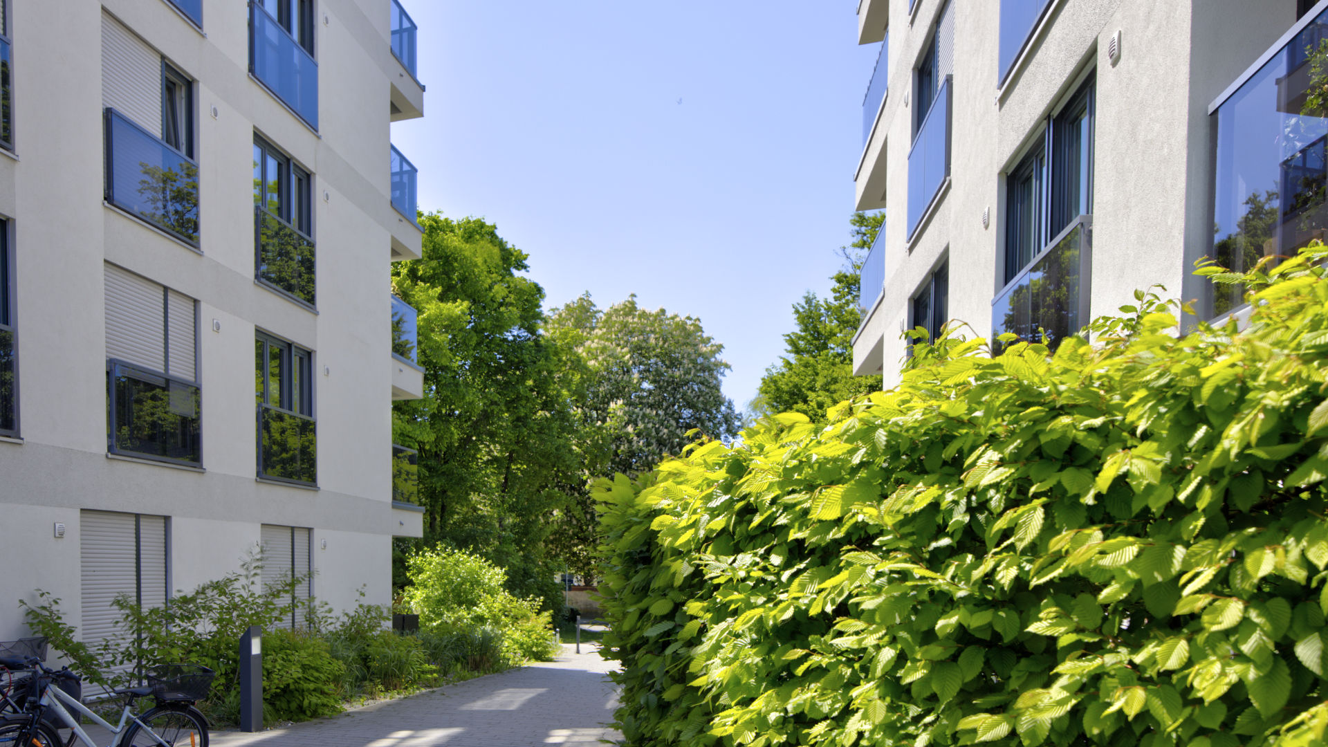 Footpath bordered by a high hedge between two houses of the Aubing residential complex with bicycle parking space