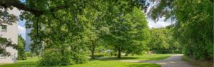 Access road lined with trees leading to a residential building in Aubing with a green lawn area.
