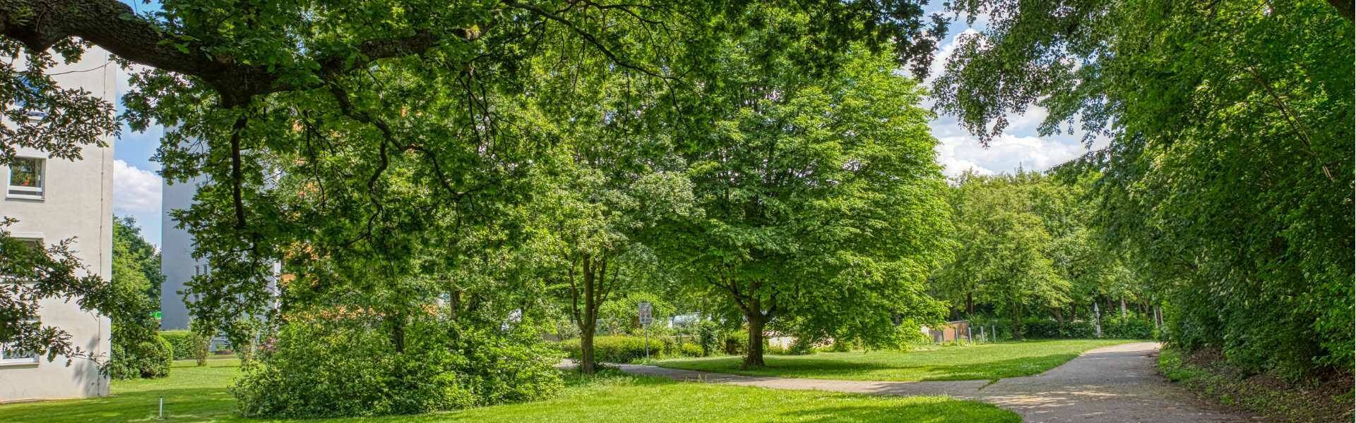 Access road lined with trees leading to a residential building in Aubing with a green lawn area.