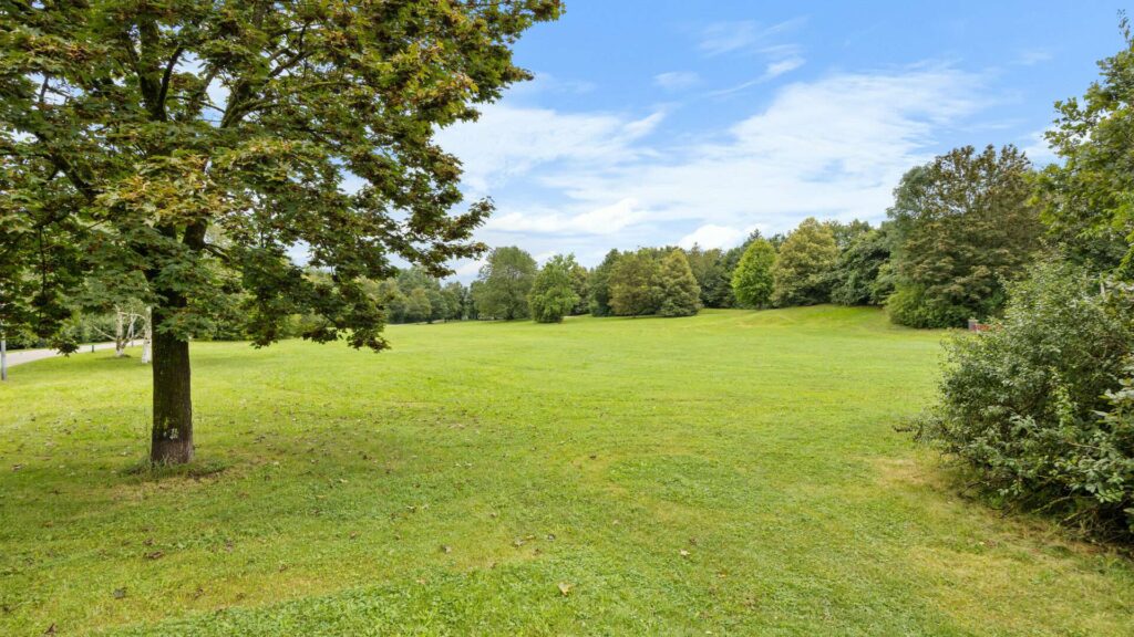 Grüne Parkwiese mit altem Baum und Hecke in der Umgebung der Wohnung München-Berg am Laim