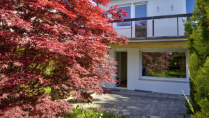 Blick durch einen roten Ahornbaum auf die Terrasse und Fassade eines Hauses in Gauting