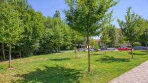 Gepflegte Grünfläche mit Bäumen und Weg der Wohnanlage in Bogenhausen an einem sonnigen Tag