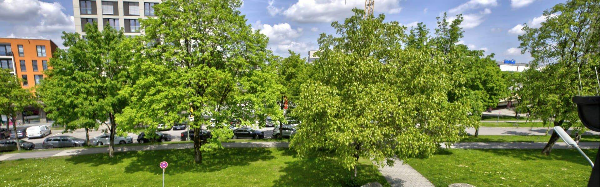 Grünfläche mit Bäumen vor einem Bürogebäude in München-Fürstenried an einem sonnigen Tag.