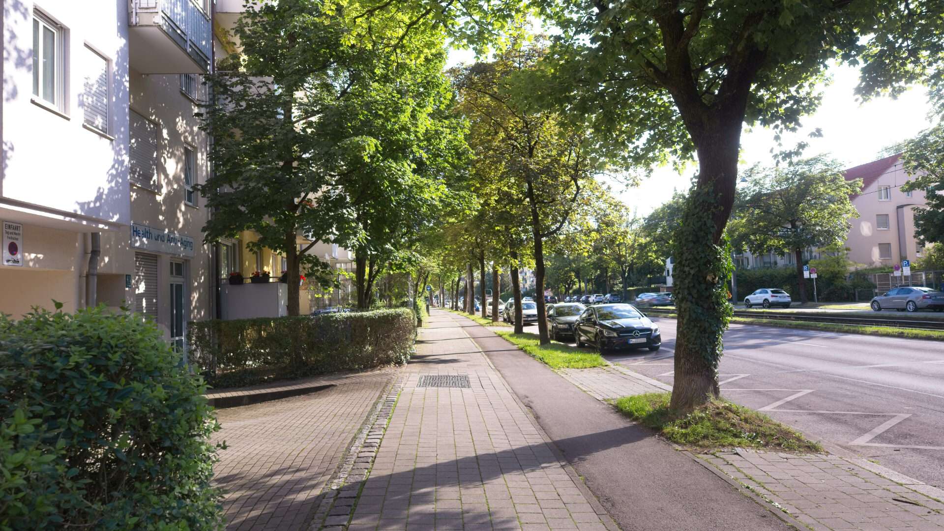 Baumbestandene Wohnstraße mit geparkten Autos und Mehrfamilienhäusern im Stadtteil Giesing in München