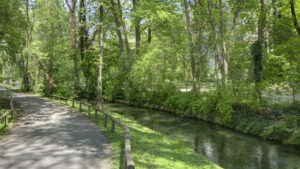 Paved walking path along a stream with a dense canopy near Munich Isarvorstadt