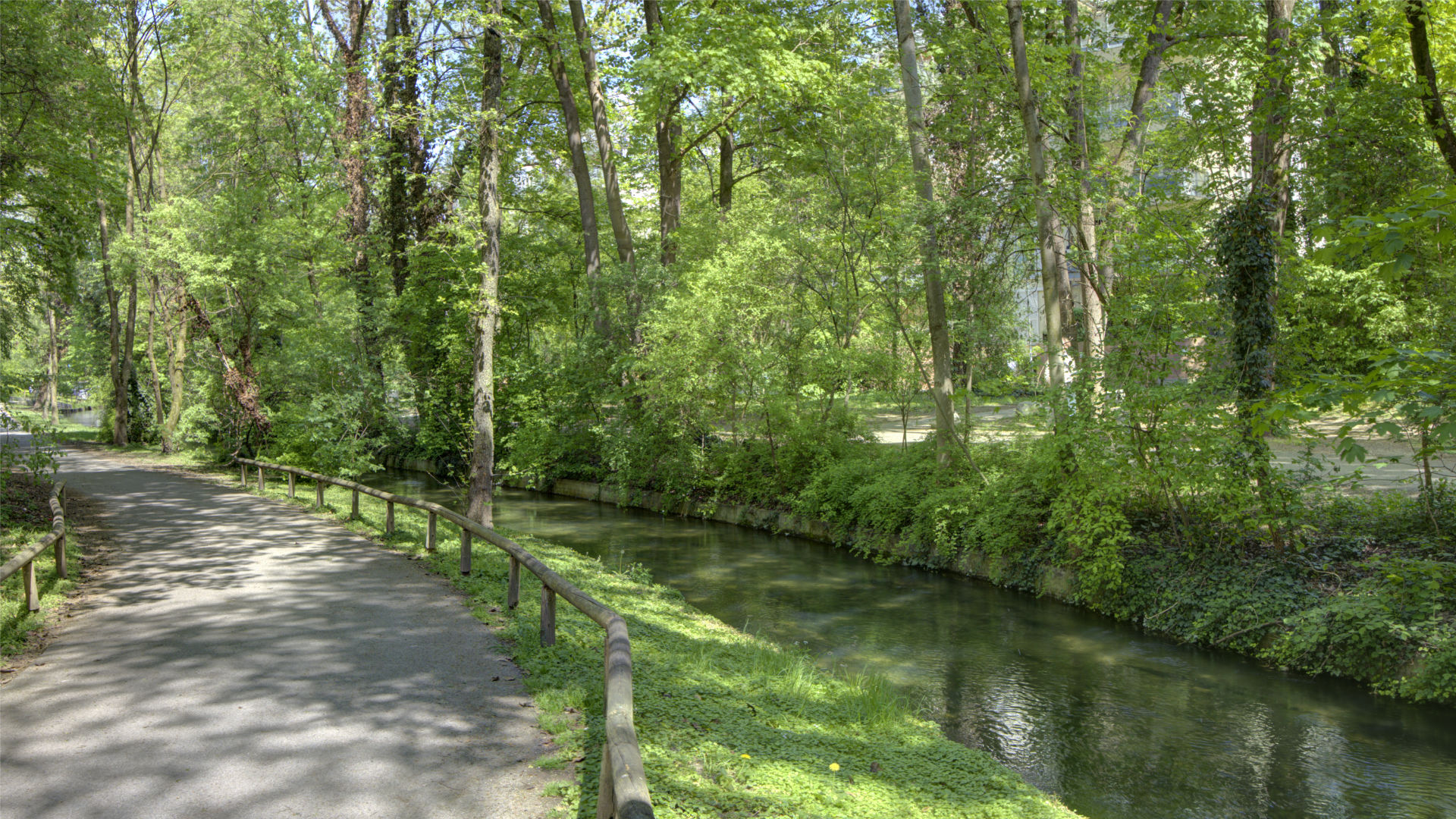 Paved walking path along a stream with a dense canopy near Munich Isarvorstadt