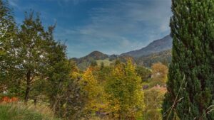 Herbstlicher Fernblick auf Bergpanorama und Wald von der Terrasse des Hauses in Kochel am See