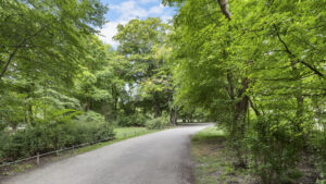 Shady park path with a dense canopy of leaves near an apartment building in the Munich district of Lehel