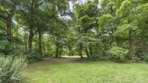 Green park with old trees and a lawn near a rented apartment in Munich-Lehel