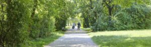 Tree-lined foot and bike path in the area around the apartment in Munich-Milbertshofen