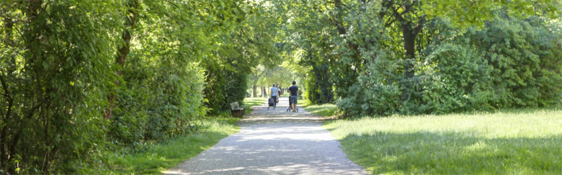 Tree-lined foot and bike path in the area around the apartment in Munich-Milbertshofen