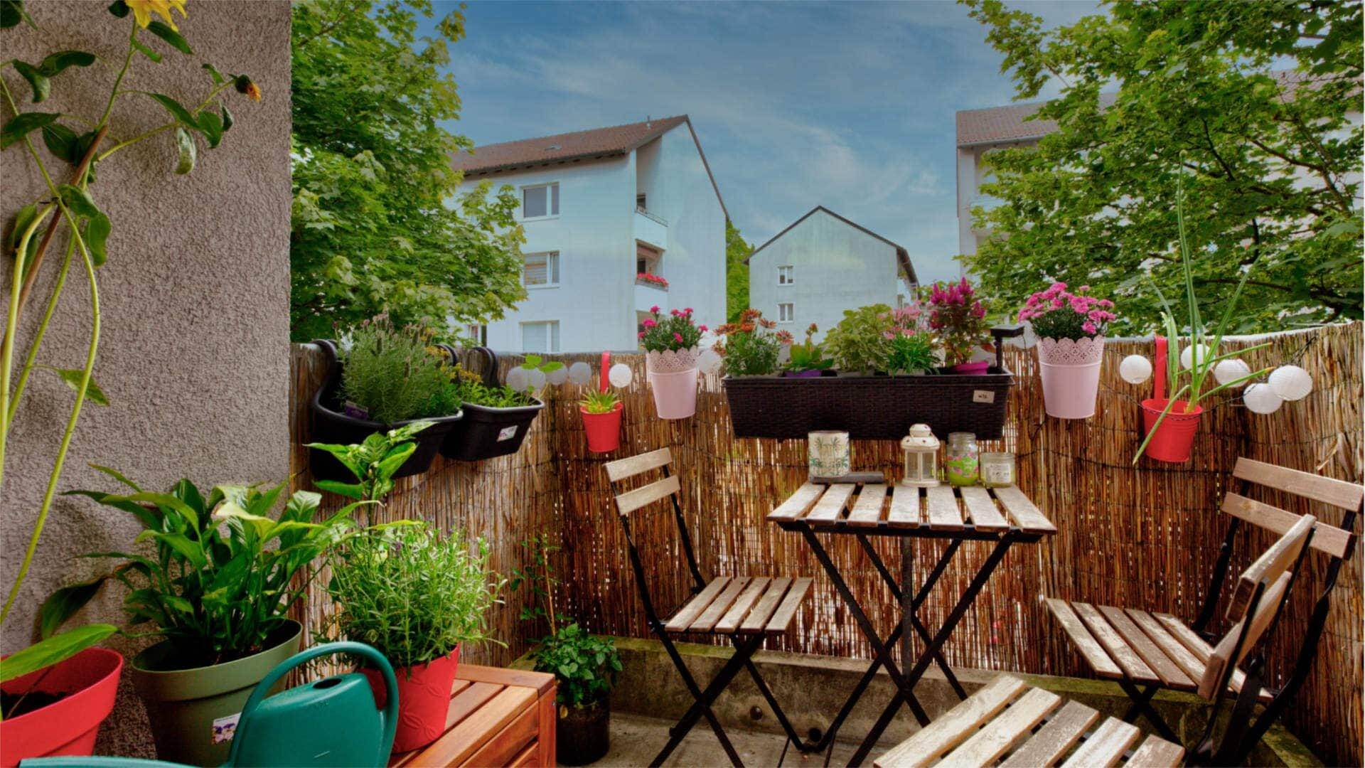 Begrünter Balkon mit Sitzgruppe und Blick auf Nachbarhäuser einer Wohnung in München-Moosach