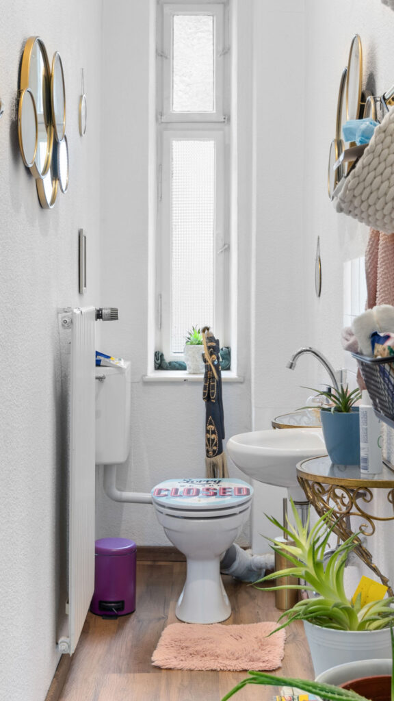 Guest toilet with houseplants, wall mirrors, and wooden floor in Schwabing apartment