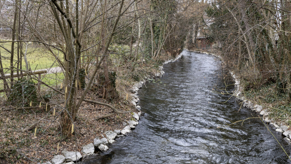 Natural stream with stone support between trees in the Pasing area